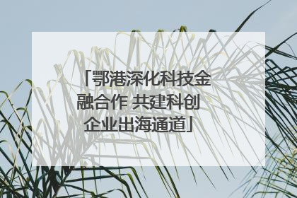 鄂港深化科技金融合作 共建科创企业出海通道