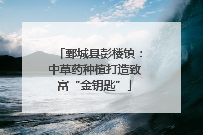 鄄城县彭楼镇：中草药种植打造致富“金钥匙”
