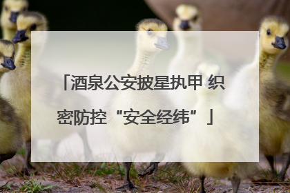 酒泉公安披星执甲 织密防控“安全经纬”