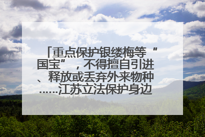 重点保护银缕梅等“国宝”，不得擅自引进、释放或丢弃外来物种……江苏立法保护身边的生物“朋友圈”
