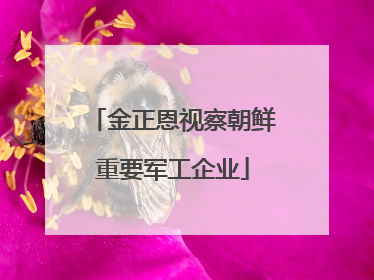 金正恩视察朝鲜重要军工企业