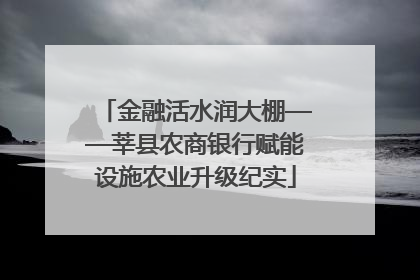 金融活水润大棚——莘县农商银行赋能设施农业升级纪实