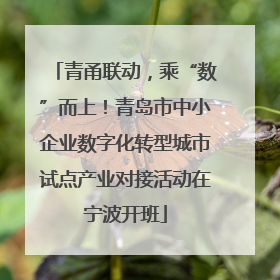 青甬联动，乘“数”而上！青岛市中小企业数字化转型城市试点产业对接活动在宁波开班
