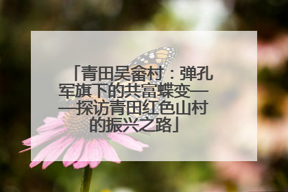 青田吴畲村：弹孔军旗下的共富蝶变——探访青田红色山村的振兴之路