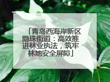 青岛西海岸新区隐珠街道：高效推进林业执法，筑牢林地安全屏障