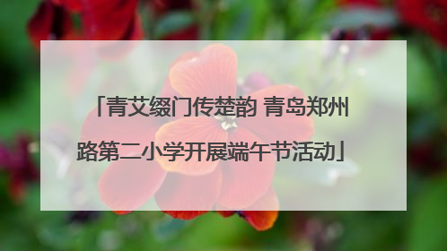 青艾缀门传楚韵 青岛郑州路第二小学开展端午节活动