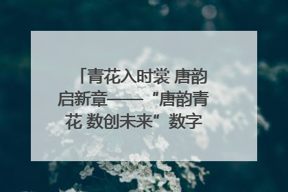 青花入时裳 唐韵启新章——“唐韵青花 数创未来”数字文创设计大赛启幕