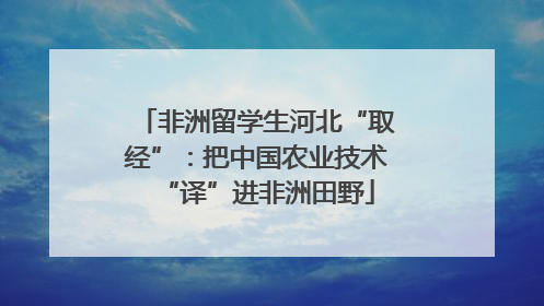 非洲留学生河北“取经”：把中国农业技术“译”进非洲田野