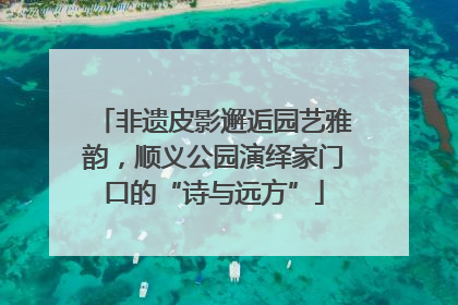 非遗皮影邂逅园艺雅韵，顺义公园演绎家门口的“诗与远方”