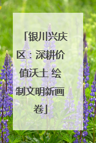 银川兴庆区：深耕价值沃土 绘制文明新画卷