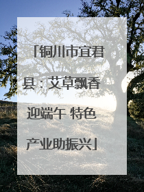 铜川市宜君县：艾草飘香迎端午 特色产业助振兴