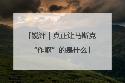 锐评｜真正让马斯克“作呕”的是什么
