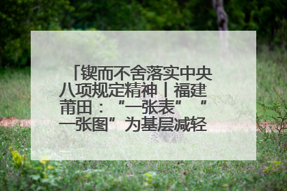 锲而不舍落实中央八项规定精神丨福建莆田：“一张表”“一张图”为基层减轻“数字负担”