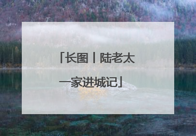长图丨陆老太一家进城记