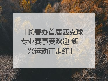 长春办首届匹克球专业赛事受欢迎 新兴运动正走红