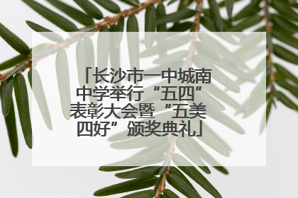 长沙市一中城南中学举行“五四”表彰大会暨“五美四好”颁奖典礼