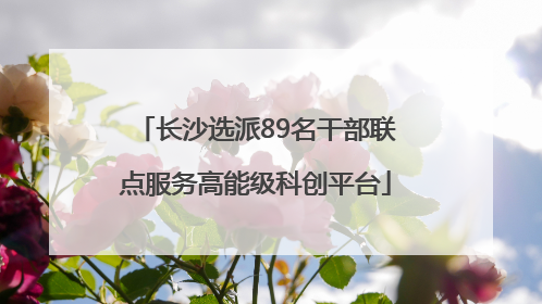 长沙选派89名干部联点服务高能级科创平台