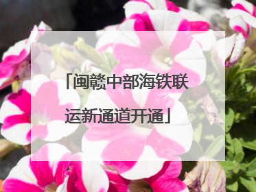 闽赣中部海铁联运新通道开通