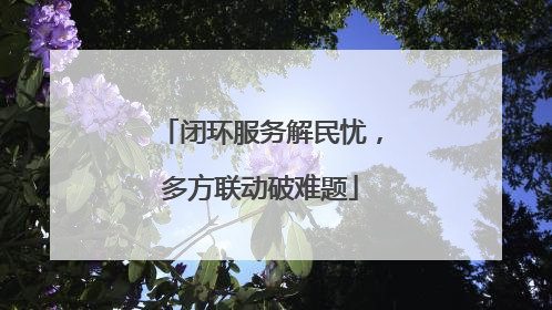 闭环服务解民忧，多方联动破难题