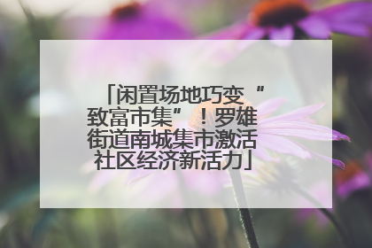 闲置场地巧变“致富市集”！罗雄街道南城集市激活社区经济新活力