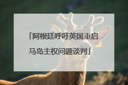 阿根廷呼吁英国重启马岛主权问题谈判
