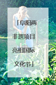阜阳两非遗项目亮相国际文化节