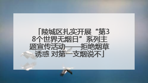陵城区扎实开展“第38个世界无烟日”系列主题宣传活动——拒绝烟草诱惑 对第一支烟说不