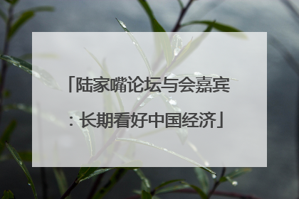 陆家嘴论坛与会嘉宾：长期看好中国经济