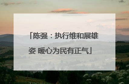 陈强：执行维和展雄姿 暖心为民有正气