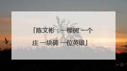 陈文彬：一棵树 一个庄 一块碑 一位英雄