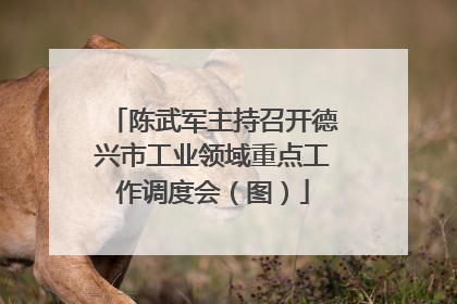 陈武军主持召开德兴市工业领域重点工作调度会（图）