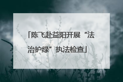 陈飞赴益阳开展“法治护绿”执法检查