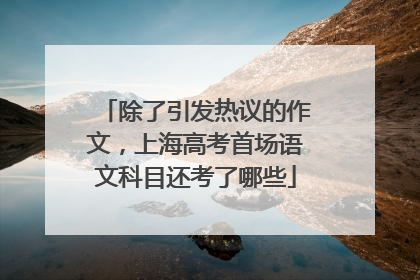除了引发热议的作文，上海高考首场语文科目还考了哪些