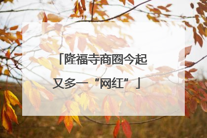 隆福寺商圈今起又多一“网红”