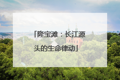隆宝滩：长江源头的生命律动