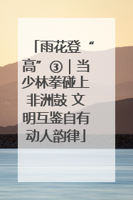 雨花登“高”③｜当少林拳碰上非洲鼓 文明互鉴自有动人韵律