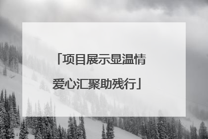 项目展示显温情 爱心汇聚助残行