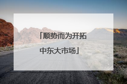 顺势而为开拓中东大市场
