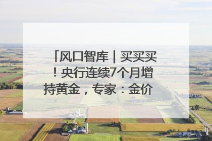 风口智库｜买买买！央行连续7个月增持黄金，专家：金价或仍易涨难跌