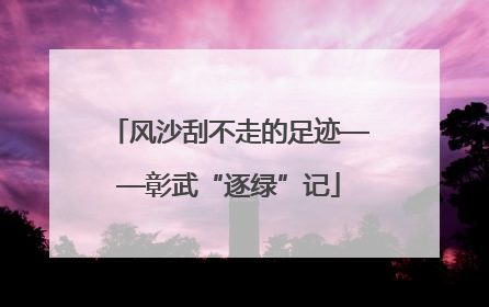 风沙刮不走的足迹——彰武“逐绿”记
