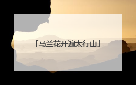马兰花开遍太行山