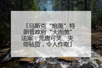 马斯克“炮轰”特朗普政府“大而美”法案：荒唐可笑、夹带私货，令人作呕