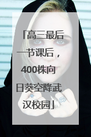 高三最后一节课后，400株向日葵空降武汉校园