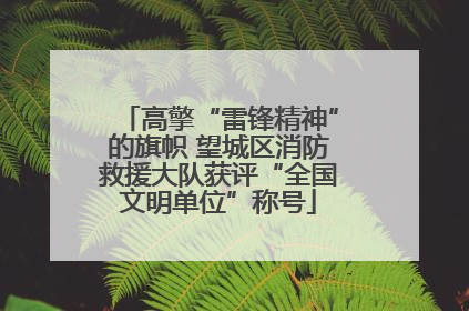高擎“雷锋精神”的旗帜 望城区消防救援大队获评“全国文明单位”称号