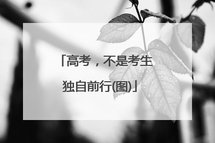高考，不是考生独自前行(图)