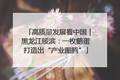 高质量发展看中国｜黑龙江绥滨：一枚鹅蛋打造出“产业图腾”