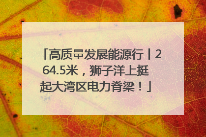 高质量发展能源行丨264.5米，狮子洋上挺起大湾区电力脊梁！