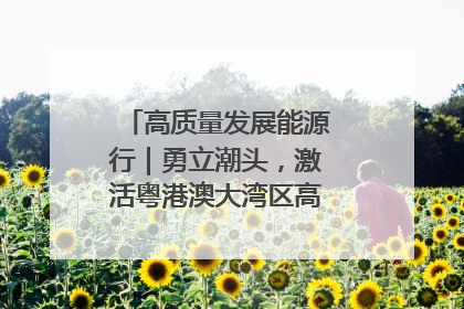 高质量发展能源行｜勇立潮头，激活粤港澳大湾区高质量发展动力源