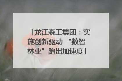 龙江森工集团：实施创新驱动 “数智林业”跑出加速度