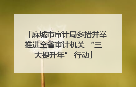 麻城市审计局多措并举推进全省审计机关 “三大提升年” 行动